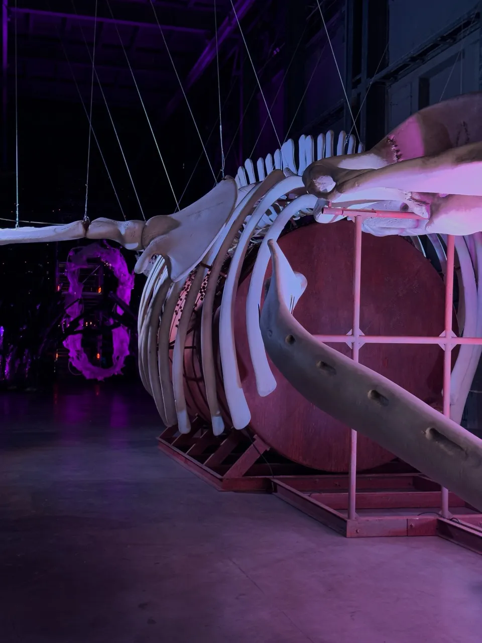 TSEKH* Multimedia Experimental Space